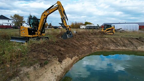 Pond edge cleaning