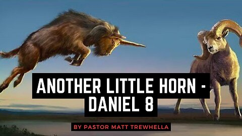 Another Little Horn - Daniel 8