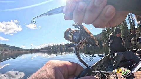 trout fishing