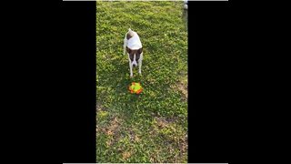 Princess plays with reversible ball