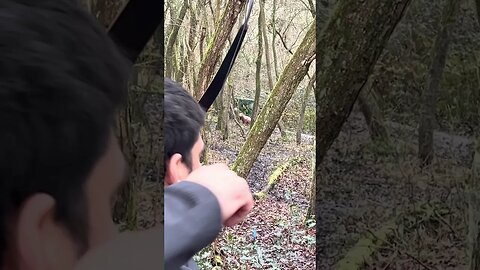 78LBS Saluki Turkish Bow Accuracy in The Woods