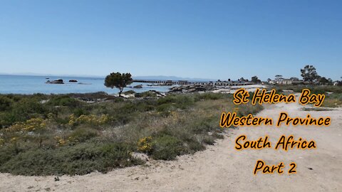 St Helena Bay Part 2 | South Africa, Western Province | Old abandoned structures surrounded flowers