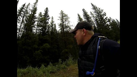 Banff Canada Hiking Elk Bugle