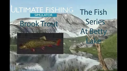 Ultimate Fishing Simulator: The Fish - Betty Lake - Brook Trout - [00005]