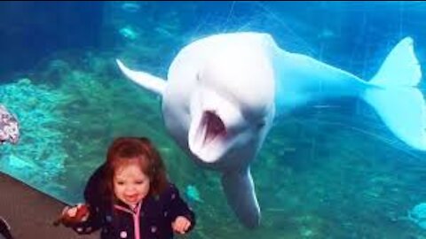 Try not to laugh at these funny babies at the zoo