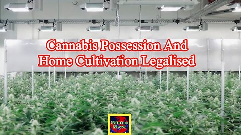 Germany legalises cannabis possession and home cultivation