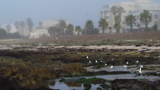 SOUTH AFRICA - Cape Town - Mouille Point standalones (Video) (Abj)