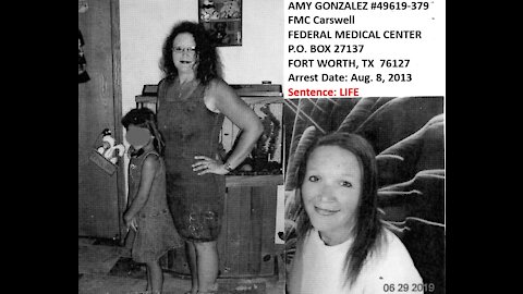 Introduction to the case of Amy Gonzalez, Interstate Cyberstalker