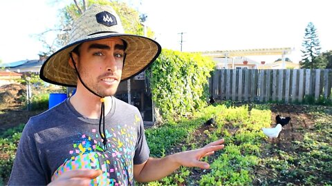 How I'm Shutting Down My Urban Farm