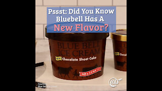 Blue Bell Releases New Chocolate Sheet Cake Ice Cream for Summer