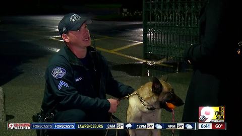 Matt's 5K Pursuit raises money for K-9s, equipment for Greater Cincinnati