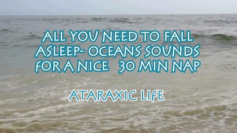 All You Need To Fall Asleep Ocean Sounds For a Nice 30 Minute Nap