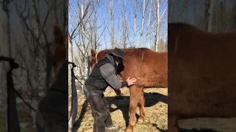 True Canadian Cowboy: While I Was Drinking My Coffee☕This Morning👀🔥