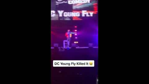 DC Young Fly