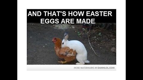 HOW EASTER EGGS ARE MADE_Break Through Religious Crap-Pt 44