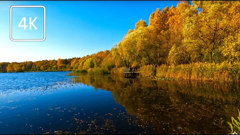 L'Automne d'or en Russie | [4K] Promenade virtuelle 🇷🇺