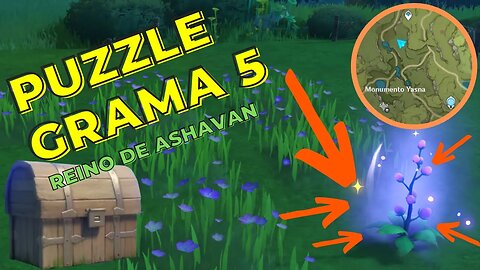 Puzzle da grama 5/12 | Sumeru - Genshin Impact