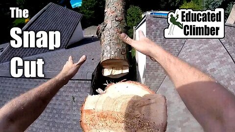 The Snap Cut: Basic Concepts | Arborist Cutting Techniques