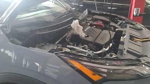 finding a rats nest in a nissan