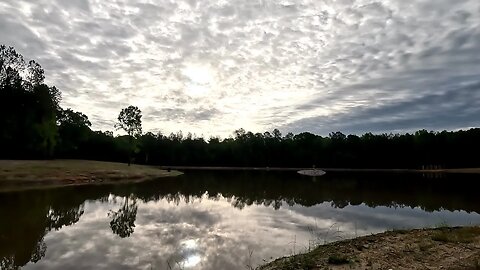 Update on Shanty Town and the 5 Acre Pond