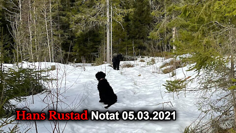 Hans Rustad notat 05.03.2021