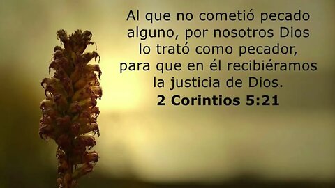 Al que no conoció pecado #devocional #devocionaldiario #jesuscristo