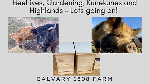 Beehives, Gardneing, Highlands and Kunekunes