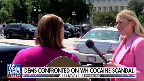 Democrat Elissa Slotkin On WH Cocaine Scandal I Didn't Know They Were Ending The Investigation