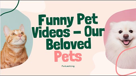 Funny Videos 🤣😂🐕