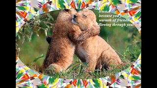 Receive a hug from a friend, you feel the warmth of friendship! [Quotes and Poems]