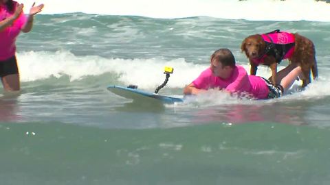 Surfing dog, quadriplegic surfer reunite