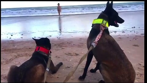 FAZENDO A SEGURANÇA DA 'VOVÓ' NA PRAIA !!