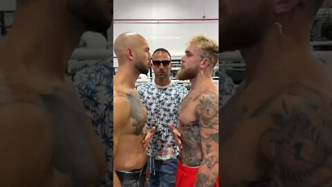 Jake Paul vs Andrew Tate Face Off #dubai