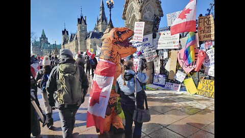 Freedom Truckers Convoy 2022 Feb 13 Ottawa