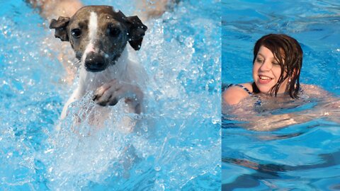 Teach Your Dogs How To Swim (part 1)