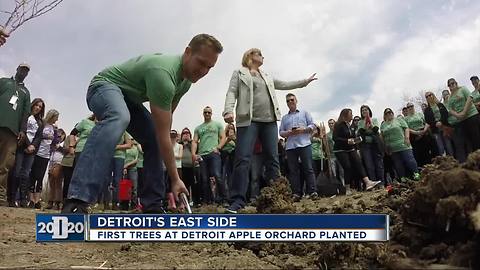 First trees at Detroit apple orchard being planted on Friday