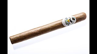 Caddyshack Golf Tournament Connecticut Cigar Review