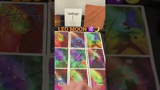 LEO MOON MONTHLY SNEAK PEAK