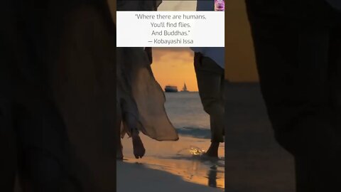 Wherever There Are Humans There Are Flies and Buddhas - Zen Quote - #shorts #meditation #relaxation