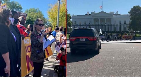 Alyssa Milano Was Just Arrested at the White House for the Dumbest Reason Ever