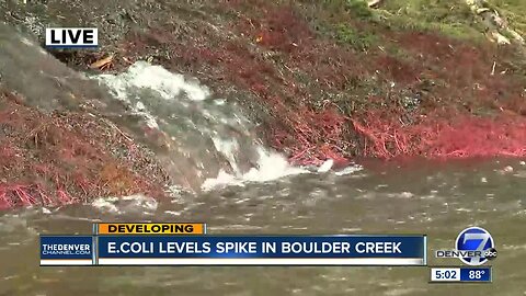 E.Coli levels spike in Boulder Creek