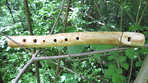 Whistle Apple tone C in nature