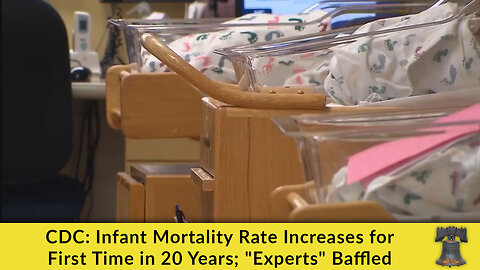 CDC: Infant Mortality Rate Increases for First Time in 20 Years; "Experts" Baffled