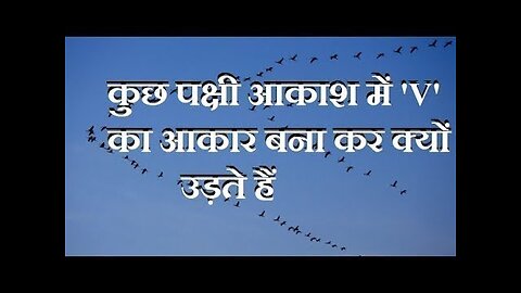 उड़ते समय कुछ पक्षी अंग्रेजी के V का आकार क्यों बनाते हैं