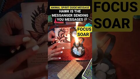 #shorts#spiritanimalguide #spiritguidemessage HAWK SPIRIT ANIMAL GUIDE 🪶THE MESSENGER 🌄Focus soar