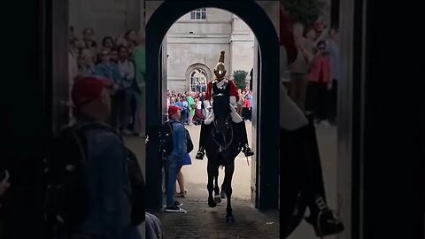 Tourist are in the horse box get back #horseguardsparade