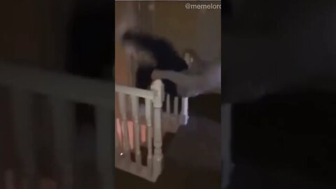 Tutorial: How to go down stairs