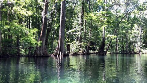 Floating on the water in Florida HD