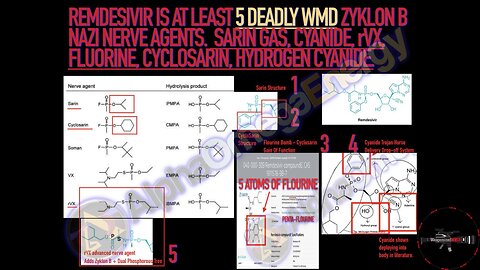 The AlphaOmegaEnergy Remdesivir Mass Murders Update