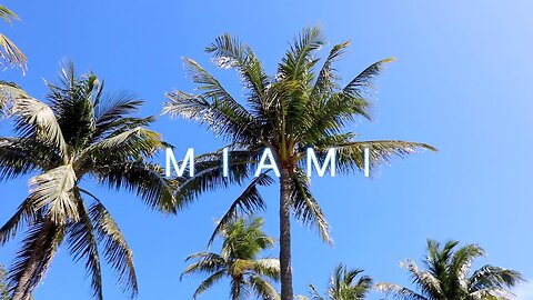 SOUTH BEACH AND GETTING AROUND MIAMI FOR FREE